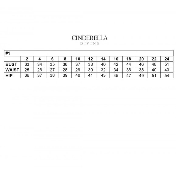 NEW LONG OFF SHOULDER SHEATH SLEEVELESS SATIN DRESS WITH LACE UP BACK CD 7484C - Picture 3 of 10